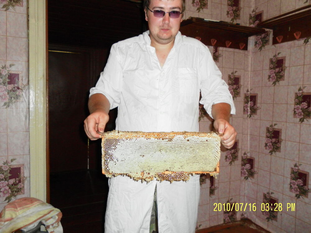 ���� 11346752 ������� ���������, 39 ���, ���� ���������� � ���������