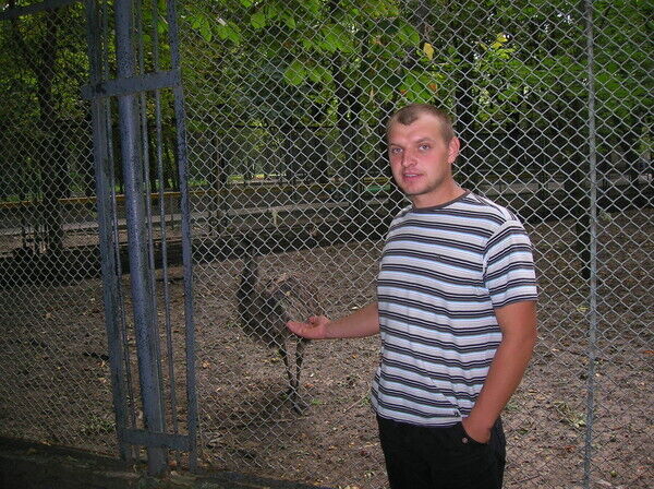 ���������� �����������, ���� ������� ��������, 38 ���, ������������ ��� ������, ����� � ���������