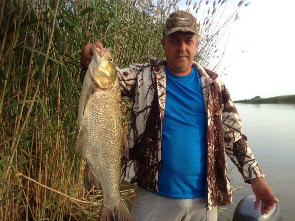 ���������� ������, ���� ������� ����������, 60 ���, ������������ ��� ������, ���������