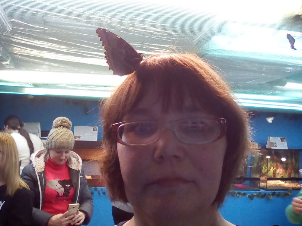 ���� 11666712 ������� �������, 59 ���, ���� ���������� � ����������