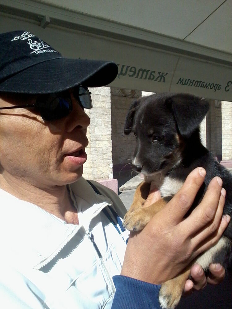  5531192  NATAN, 55 ,    