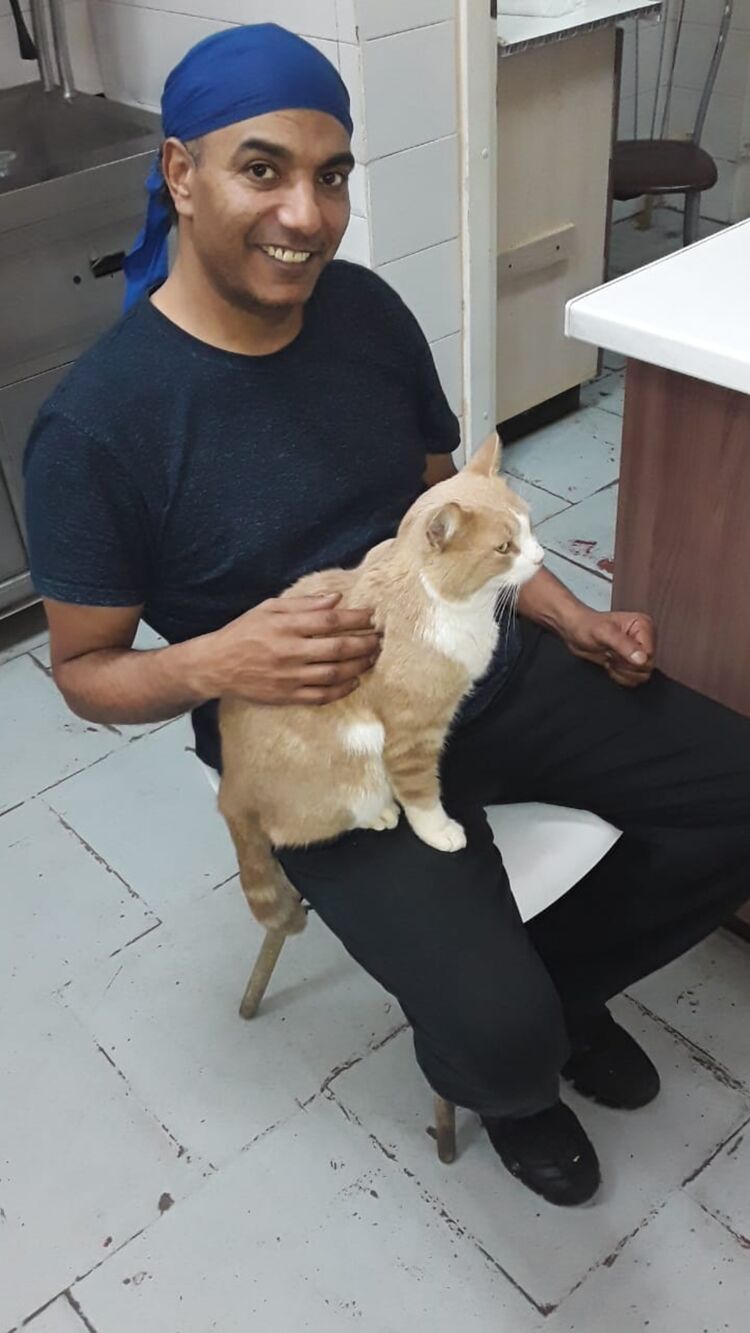 ���������� �����-���������, ���� ������� Alaa, 48 ���, ������������ ��� ������, ����� � ���������