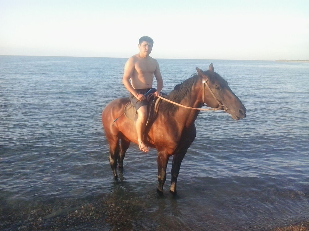 ���� 7611042 ������� Qwer, 39 ���, ���� ���������� � �������