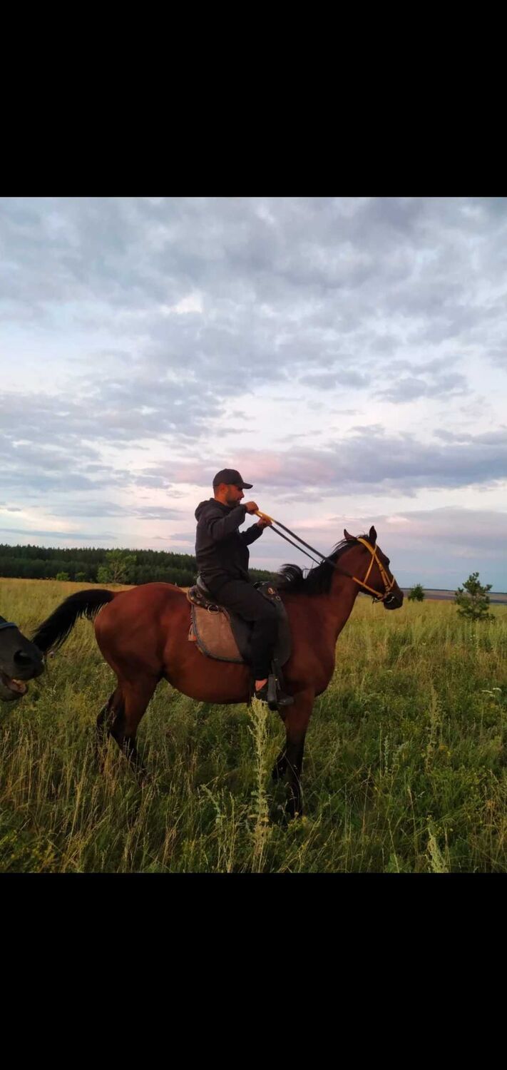 ���� 24970712 ������� ������, 43 ����, ���� ���������� � �����������