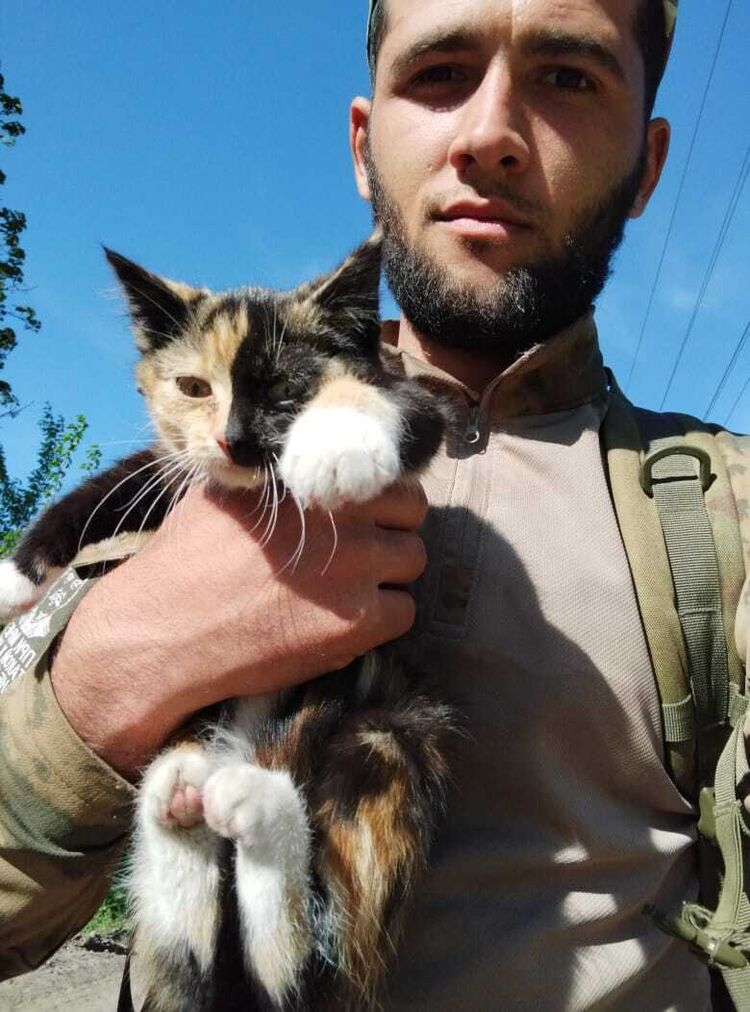 ���������� ���������, ���� ������� �����, 27 ���, ������������ ��� ������, ����� � ���������