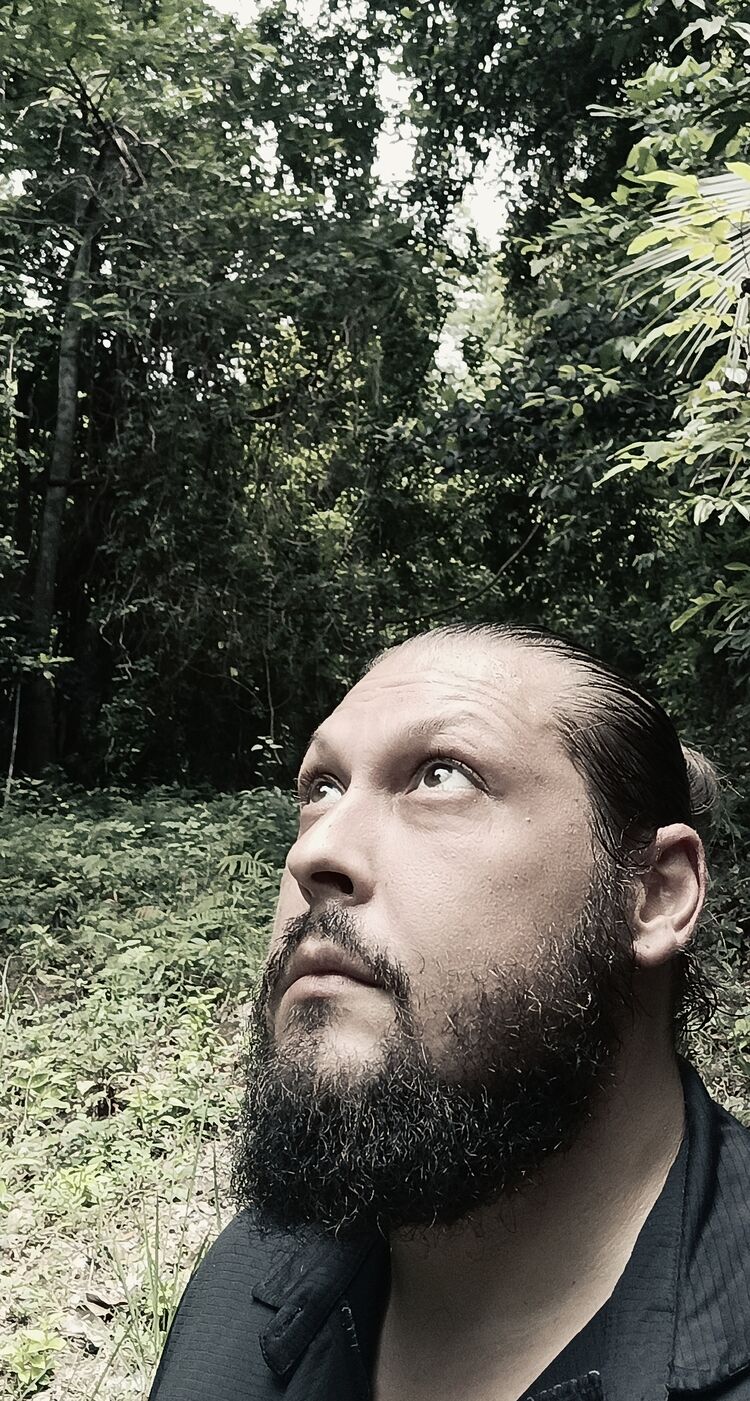  53461672  , 38 ,    -