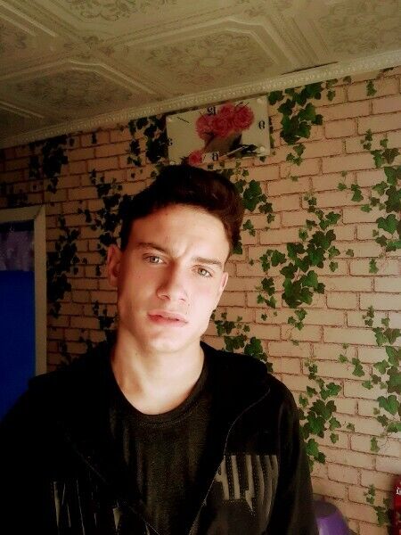  53495242  , 20 ,    -