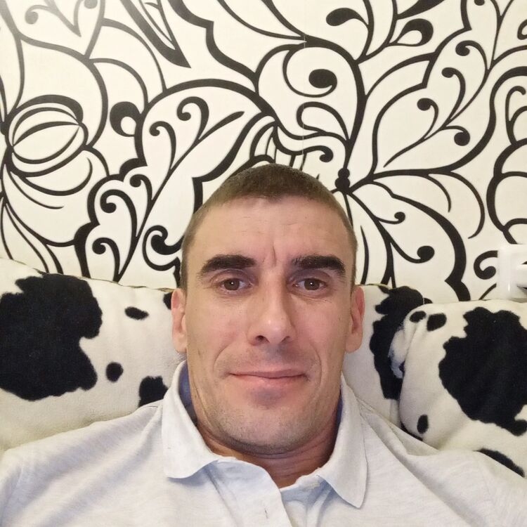  44630542  , 37 ,    -