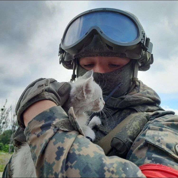 ���� 52098092 ����� ������, 19 ���, ���� ���������� � ������