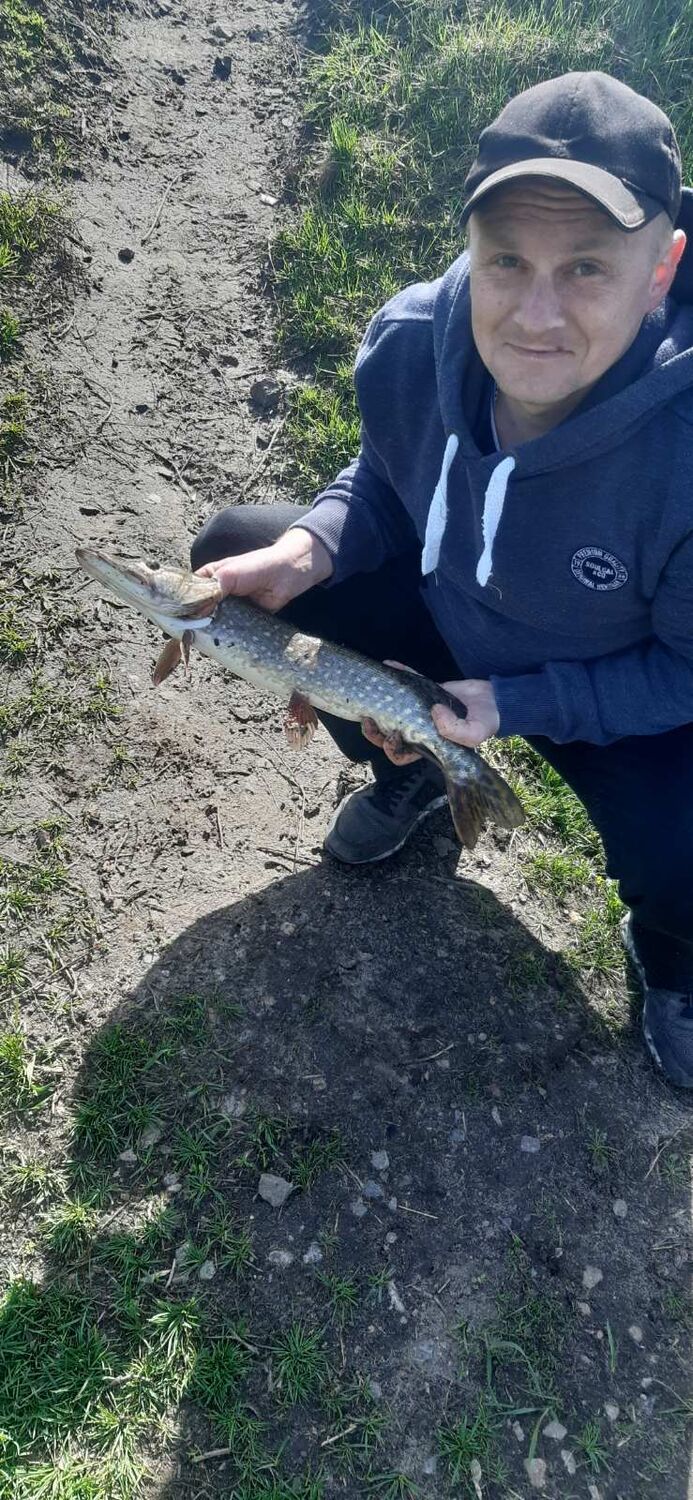 ���� 35243122 ������� ����, 37 ���, ���� ���������� � ��������