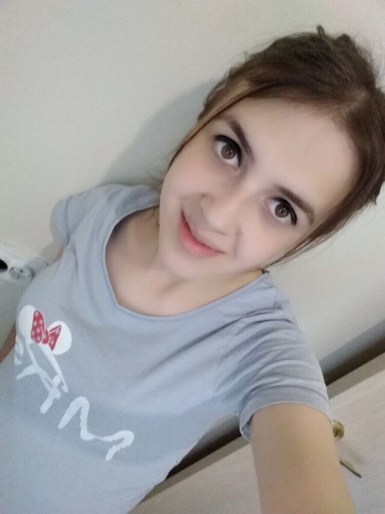  24751062  , 24 ,    