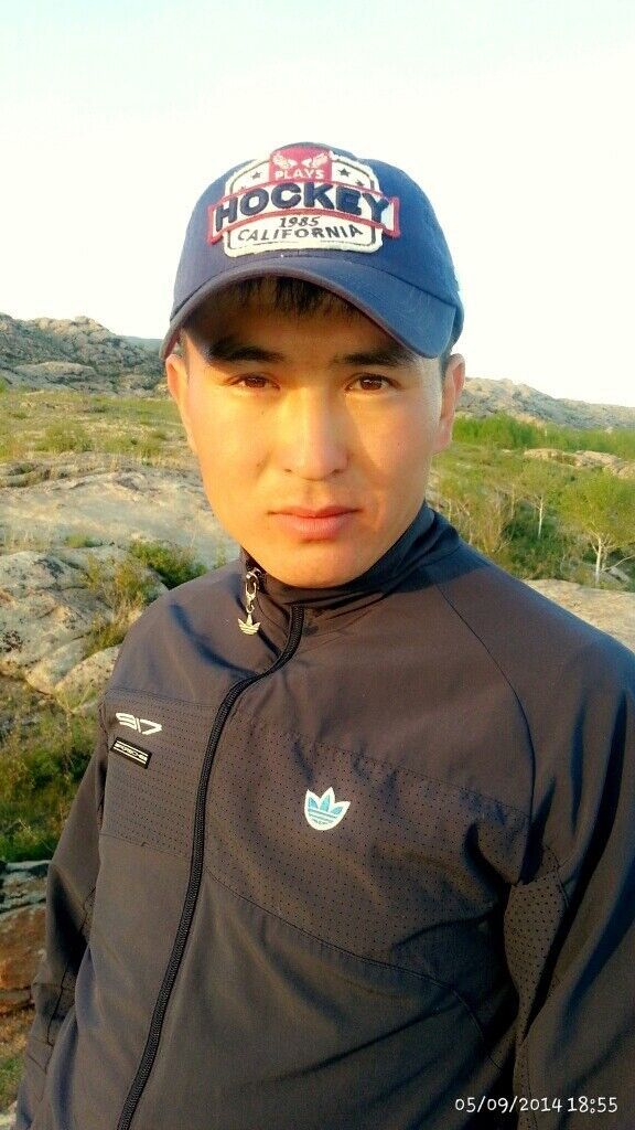  19008562  , 33 ,    -