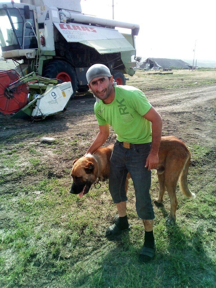 ���� 13428762 ������� ������, 54 ����, ���� ���������� � ����������