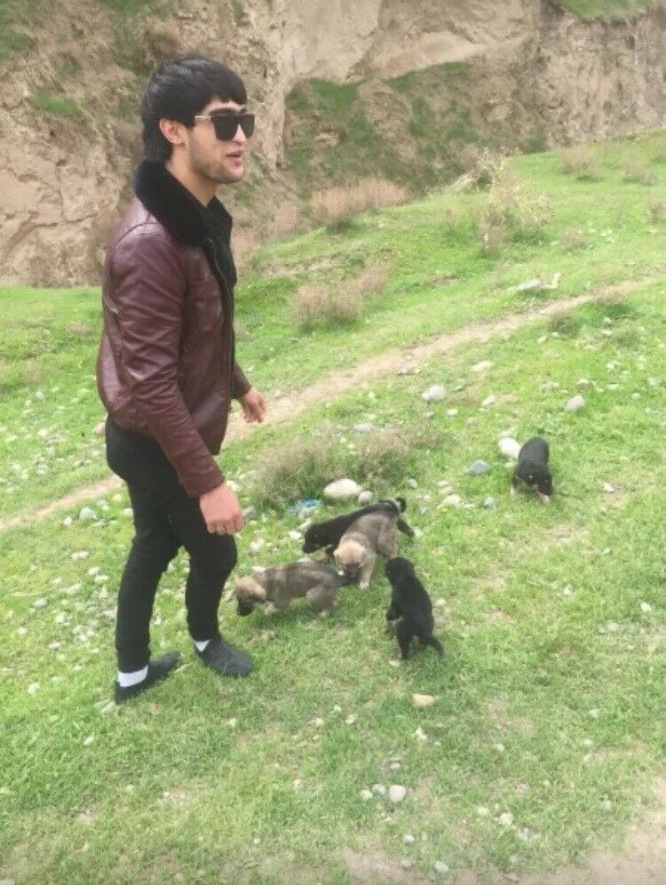  -,   , 33 ,  