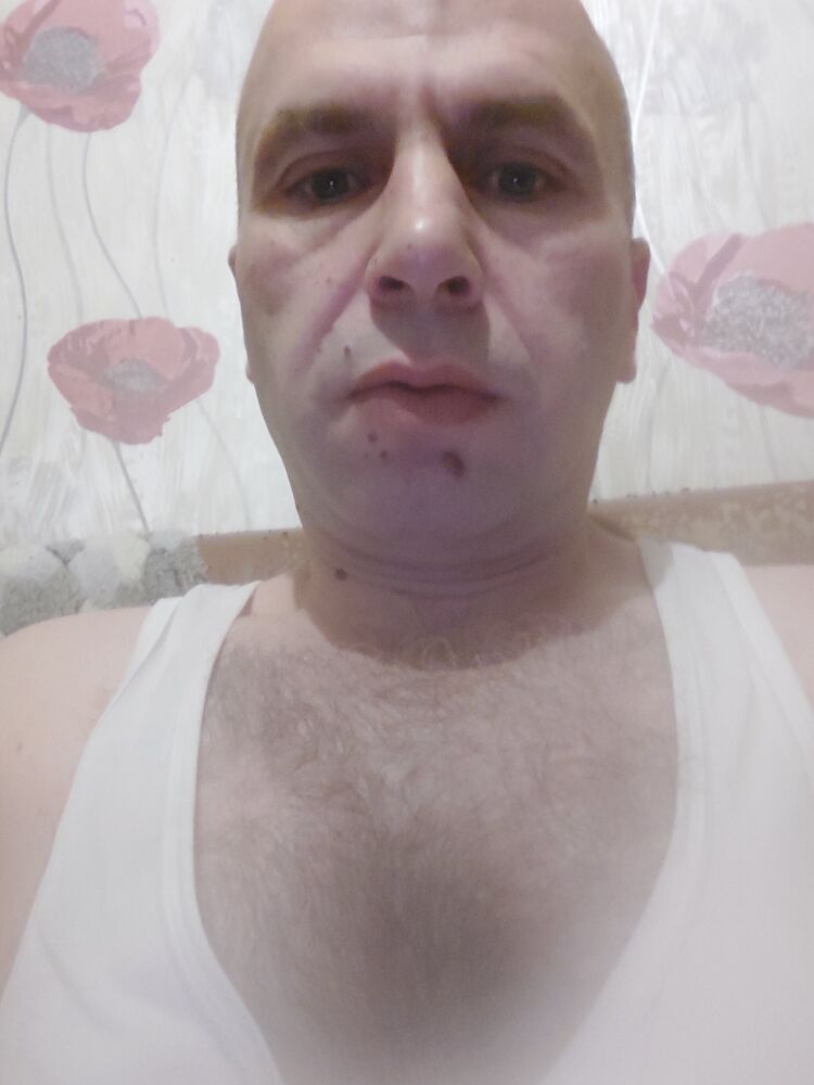 ���� 31393452 ������� NIKITA, 42 ����, ���� ���������� � �����-����������