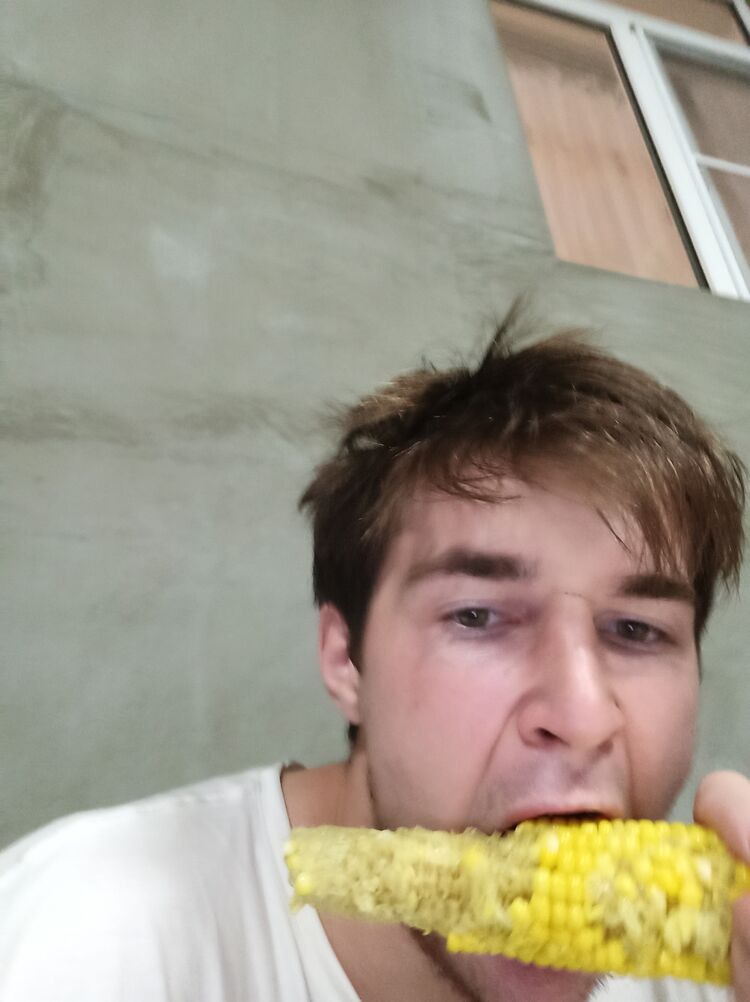  29288582  , 23 ,    