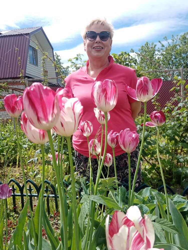 ���� 48499362 ������� ������, 68 ���, ���� ���������� � �����