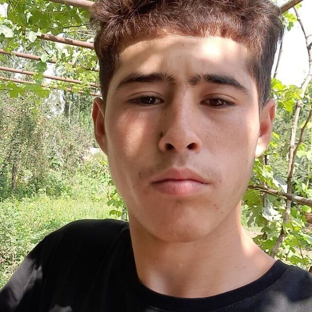  49880782  , 25 ,    