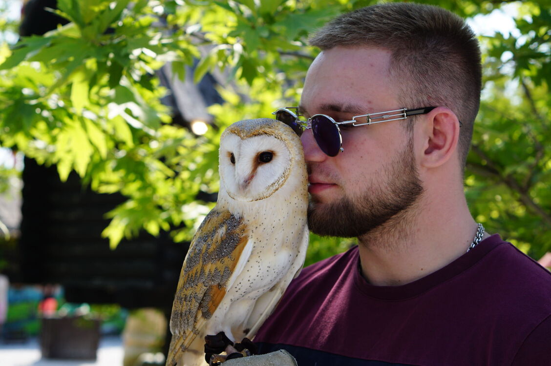 ���� 37649052 ������� ���������, 26 ���, ���� ���������� � �����-����������