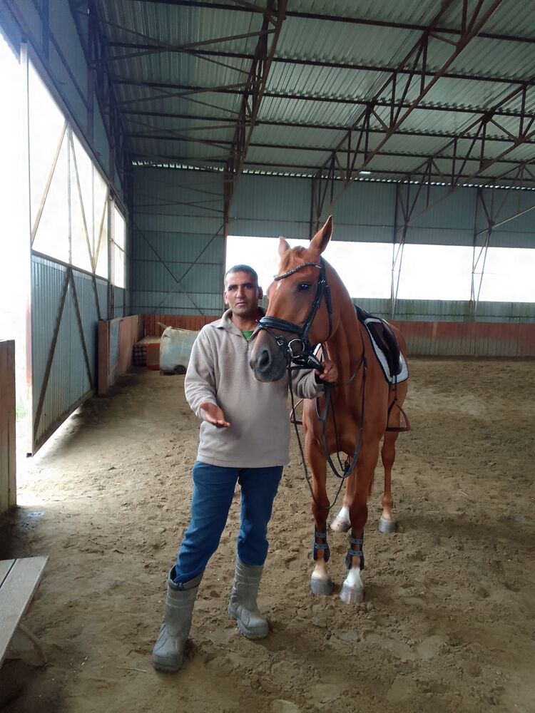 ���� 29113732 ������� ����, 47 ���, ���� ���������� � ������������