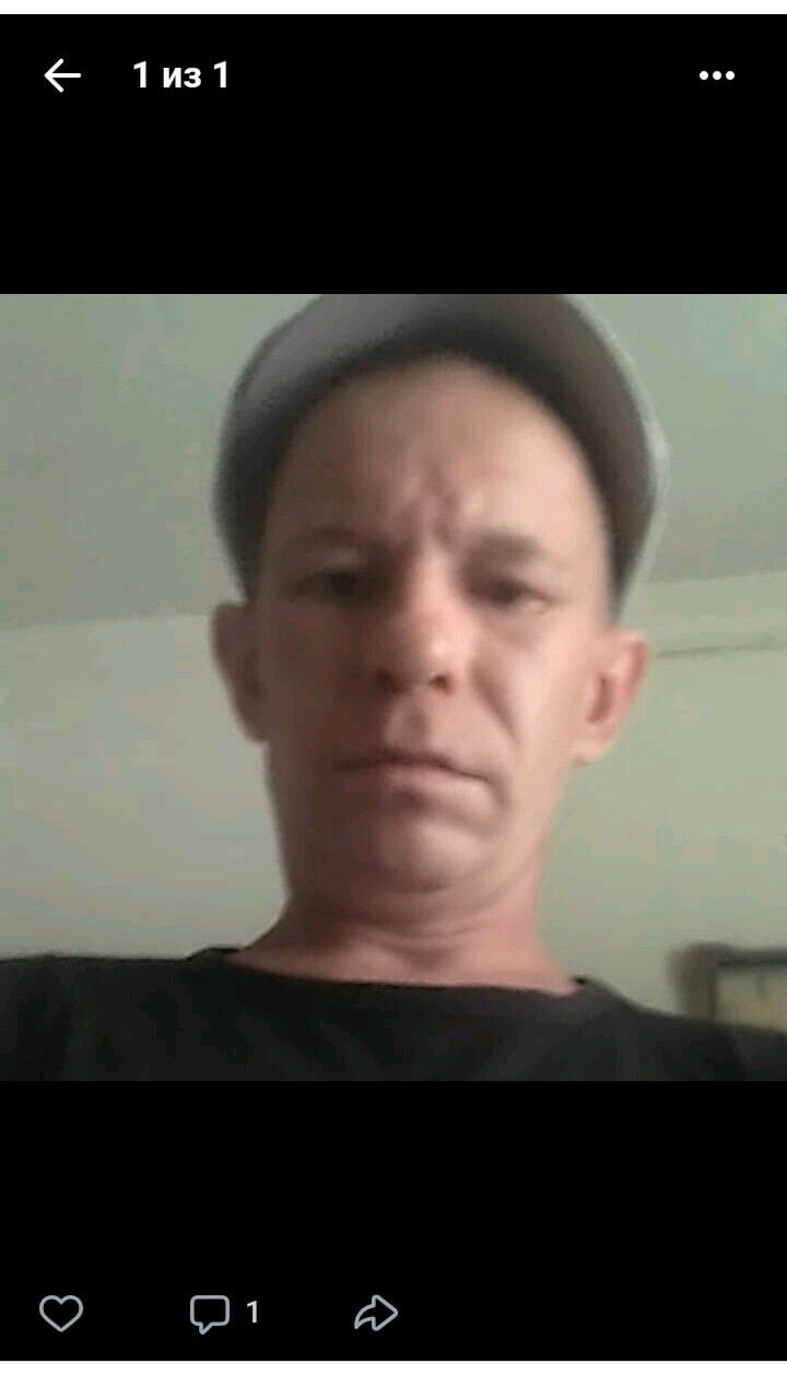  49335732  , 37 ,    