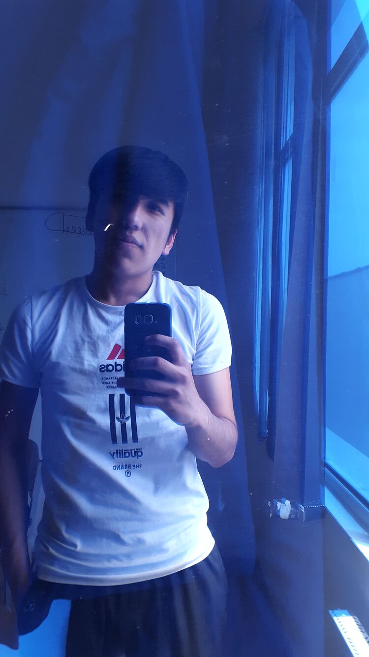 ���� 22737352 ����� ������, 24 ����, ���� ���������� � ��������