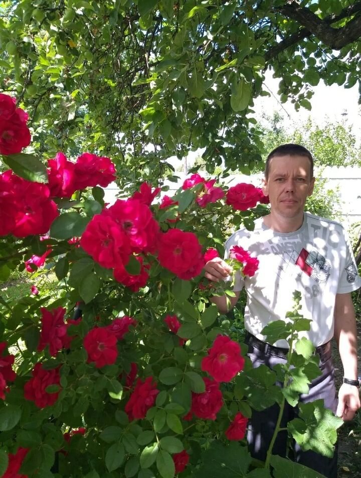  ,   , 46 ,   c 