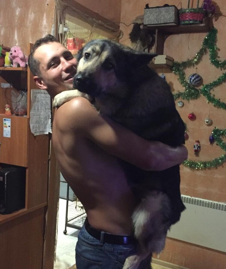 ���� 33797052 ������� ����, 38 ���, ���� ���������� � ������