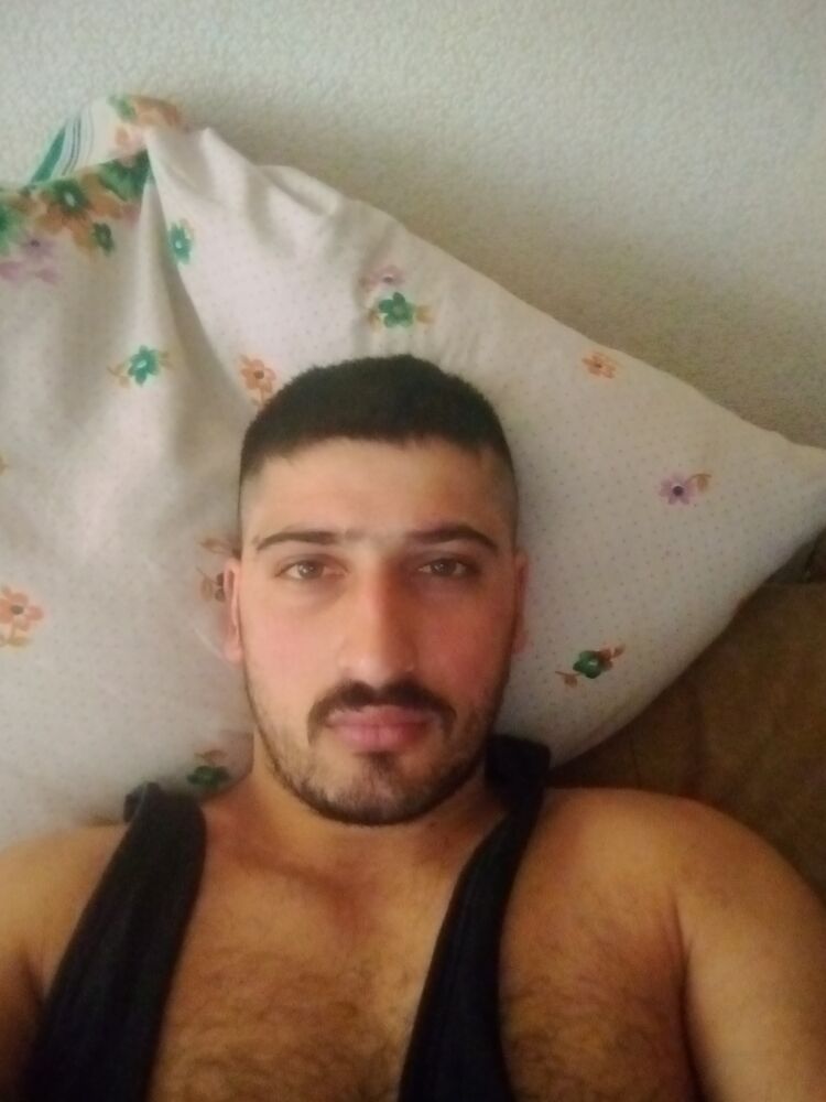  33678442  , 28 ,    