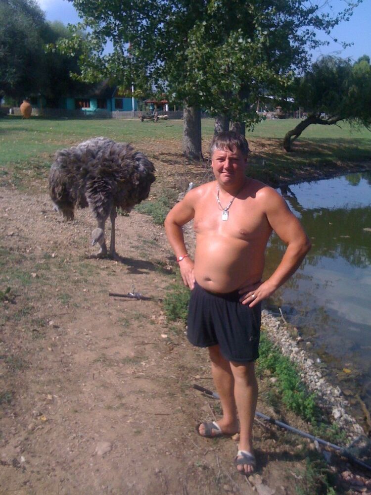  ,   , 53 ,   