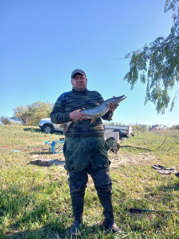 ���������� ���������, ���� ������� ���, 43 ����, ������������ ��� ������, ����� � ���������