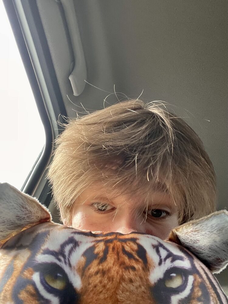 ���� 53858052 ����� ������, 18 ���, ���� ���������� � �������