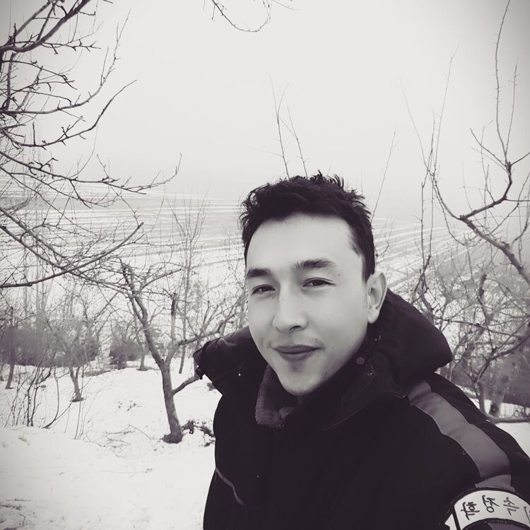 ���� 33823432 ������� Koryan, 31 ���, ���� ���������� � �������