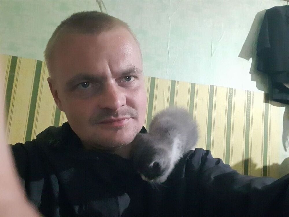 ���� 54176132 ������� ���������, 35 ���, ���� ���������� � ��������