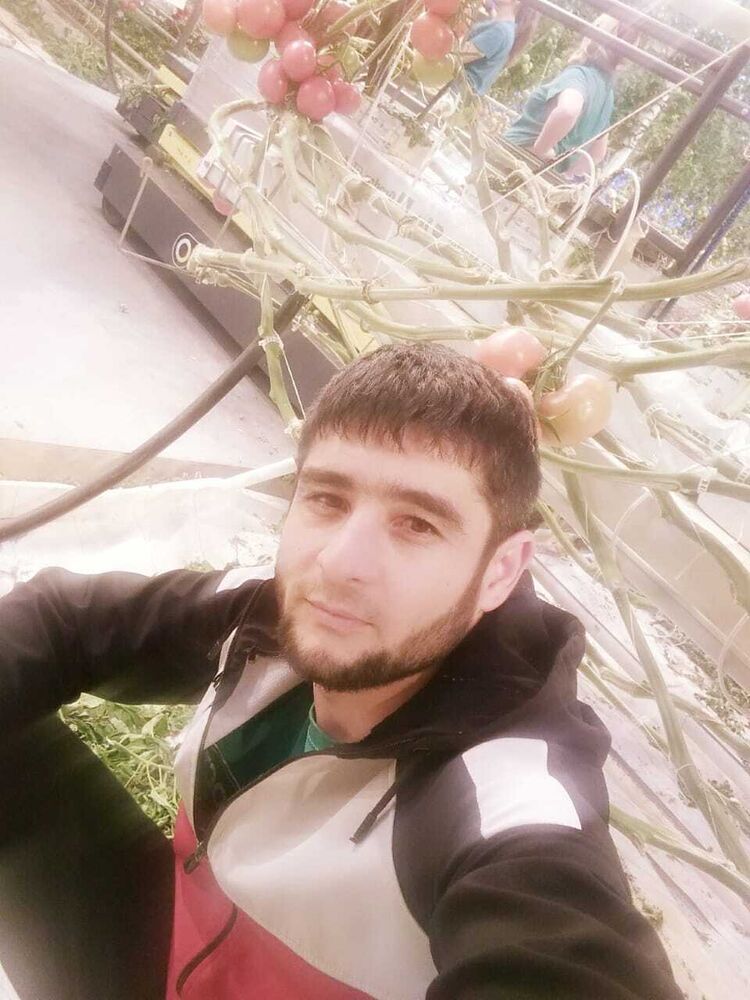 ���� 23005482 ������� ������, 31 ���, ���� ���������� � ������