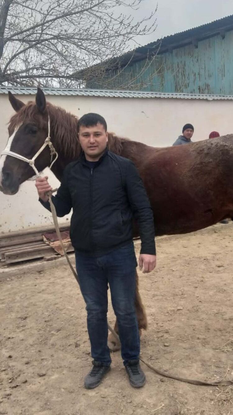 ���� 23091082 ������� ����, 36 ���, ���� ���������� � ��������