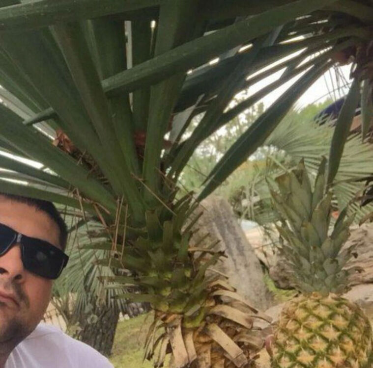 ���������� �����������, ���� ������� ����, 27 ���, ������������ ��� ������, ����� � ���������, c�������� ���������, ���������