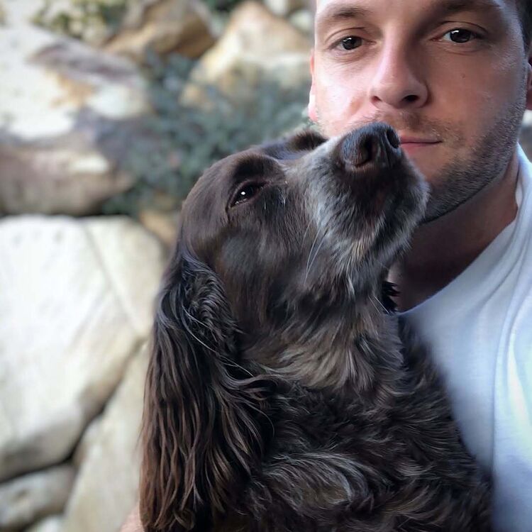 ���� 56049992 ������� ������, 37 ���, ���� ���������� � ������