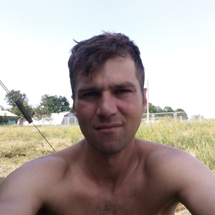  16436972  , 37 ,    