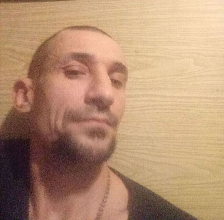  40743192  , 41 ,    