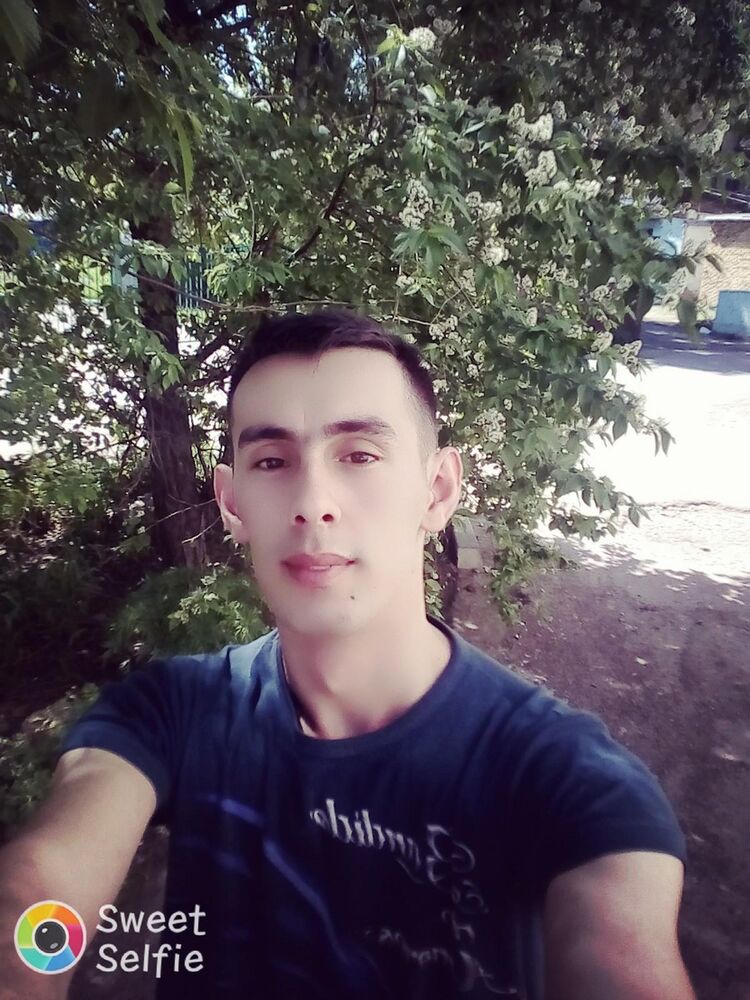  12786192  , 31 ,    