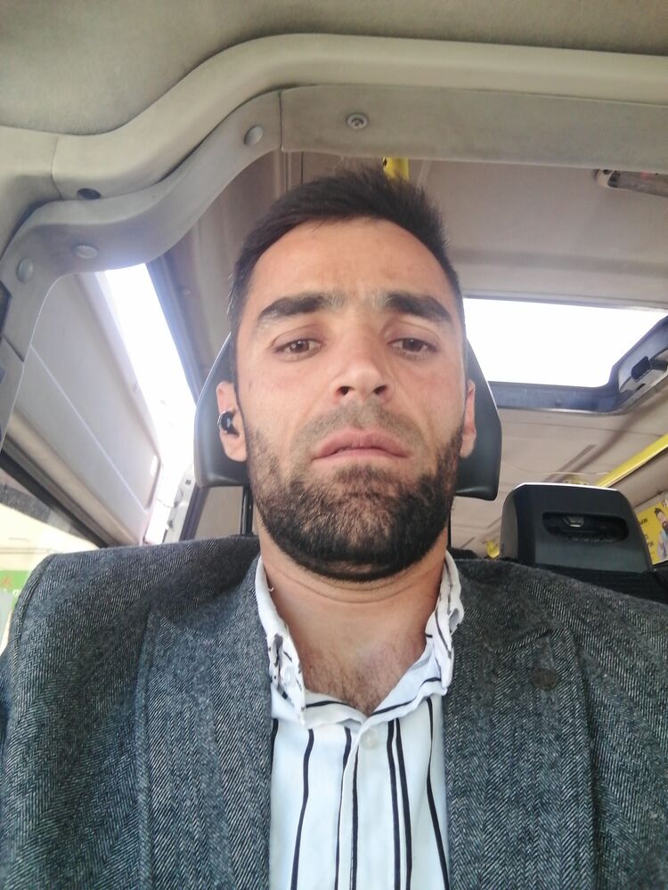 ���� 31812462 ������� �������, 33 ����, ���� ���������� � �������