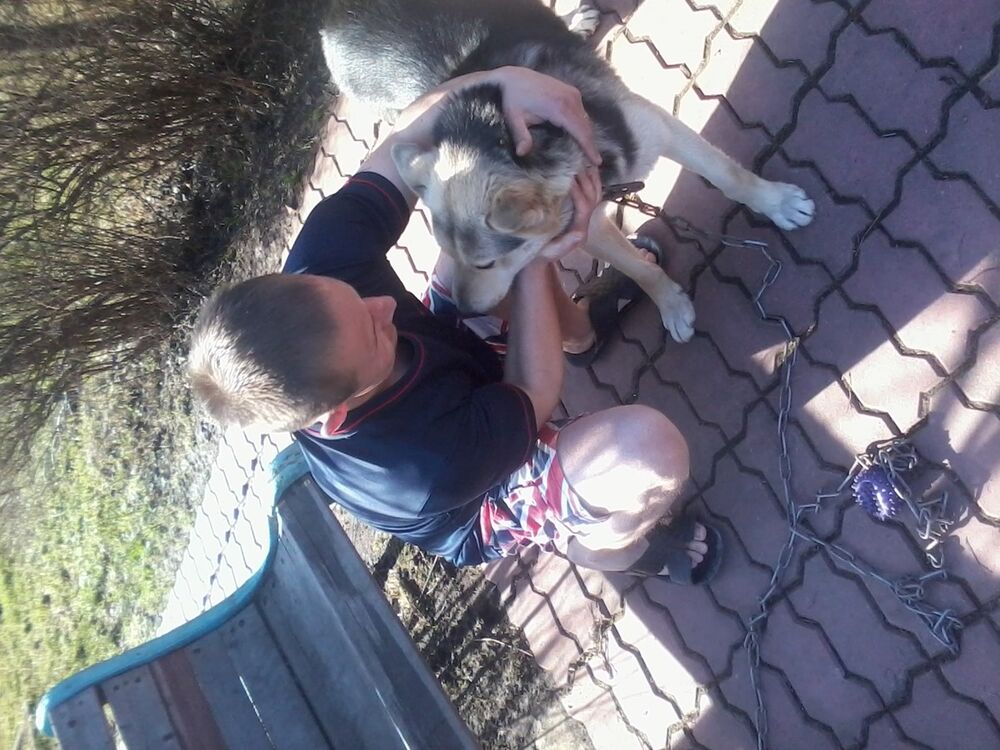 ���������� ������, ���� ������� �������, 37 ���, ������������ ��� ������, ����� � ���������, c�������� ���������