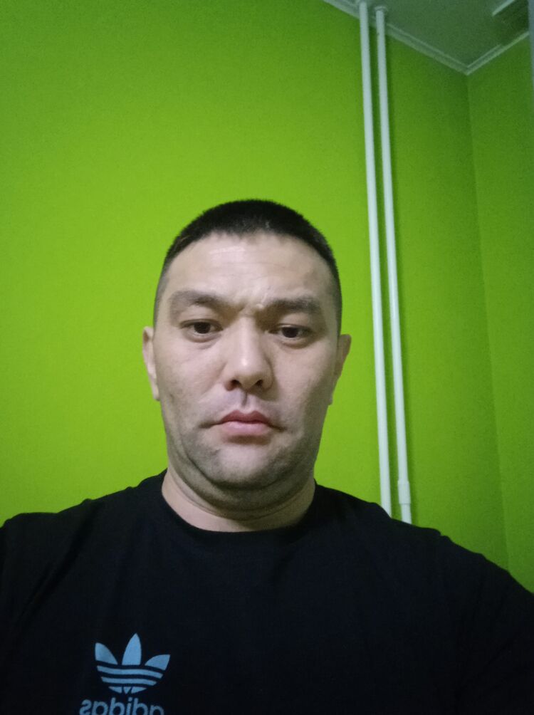  26168092  , 42 ,    