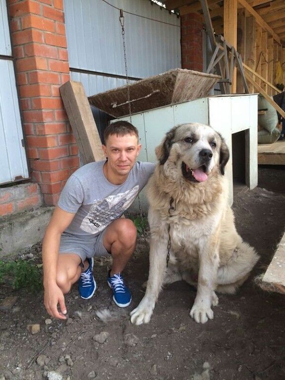 ���� 8664472 ������� �����, 39 ���, ���� ���������� � ����������