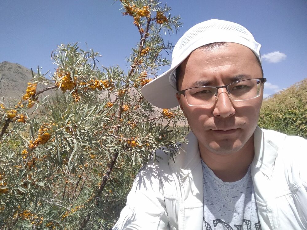 ���� 13498942 ������� Asan, 38 ���, ���� ���������� � ���