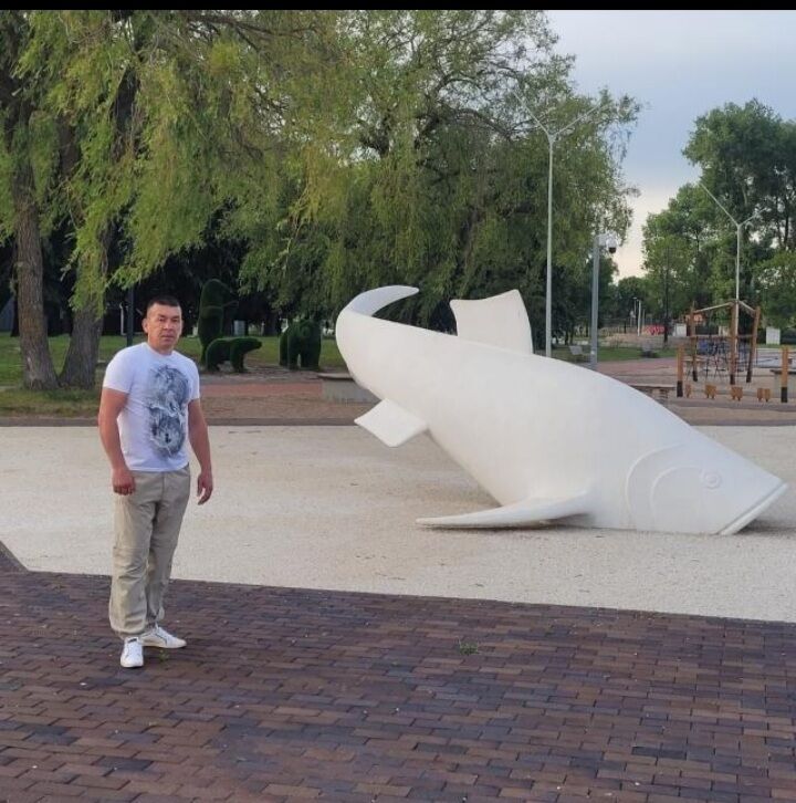  46807402  , 46 ,    
