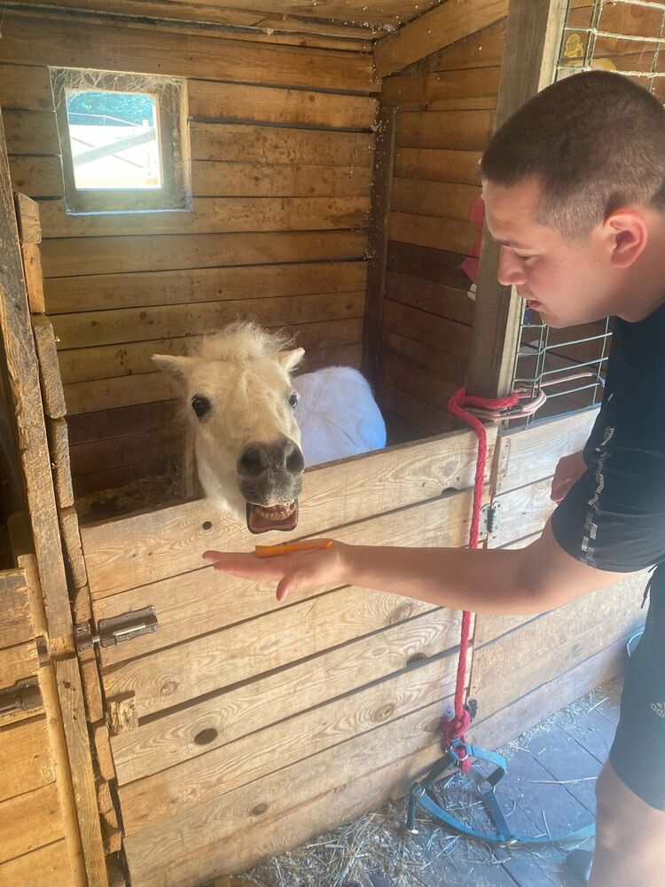 ���� 37804462 ������� ����, 30 ���, ���� ���������� � �����-����������