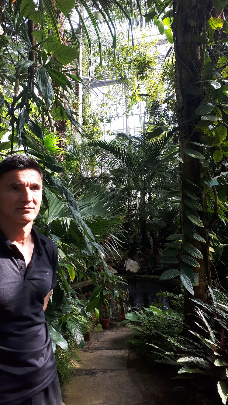 ���� 41670192 ������� ����, 38 ���, ���� ���������� � �����-����������