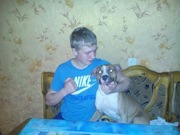 ���� 7277912 ������� ����, 35 ���, ���� ���������� � �����